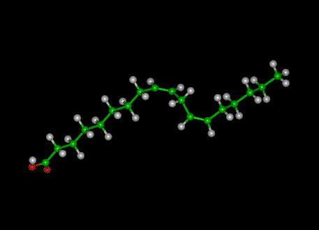 Linleic Acid Molecule Ball-and-stick model