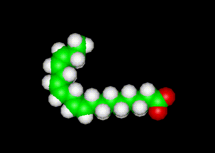 Omega 3 Molecule Ball and Stick Model