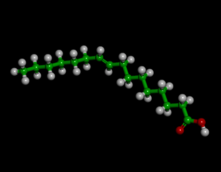 omega 7 fatty acid - palmitoleic acid