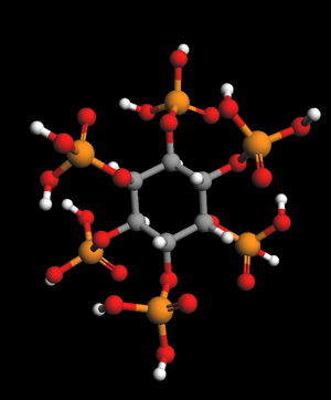 IP-6 molecule