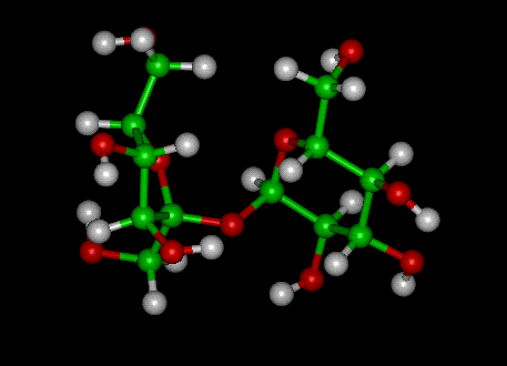 Sucrose Molecule Ball and Stick Model