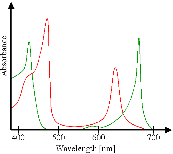 Absorption Spectra for Chorophyll-a and Chlorophyll-b