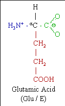 Glutamic Acid Molecular Structur