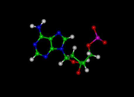 Adenine (Adenosine) Molecule Ball and Stick Model