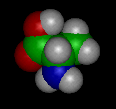 Alanine Molecule CPK model
