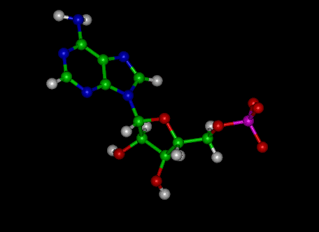 AMP molecule