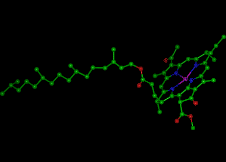 Chlorophyll molecule  Ball and Stick Model