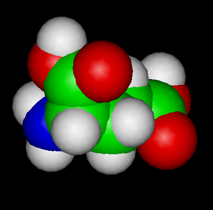 Glutamic Acid Space Fill Model