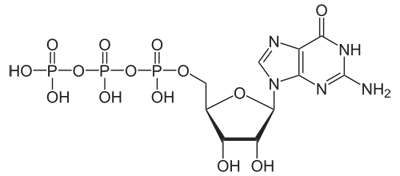 GTP Molecular Structure
