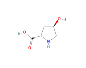 Hydroxyproline molecular structure