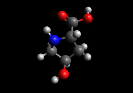 The Hydroxyproline Molecule