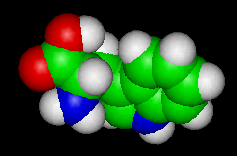 The Tryptophan Molecule