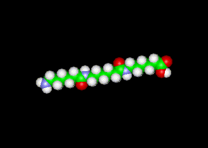 Nylon Molecular Struture