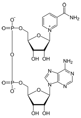 NAD+ Molecular Structure
