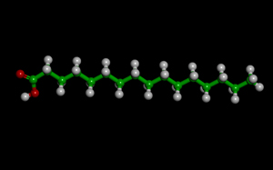 Palmitic Acid Molecule