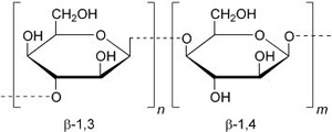 Glucan Molecule