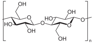 Cellulose Molecule