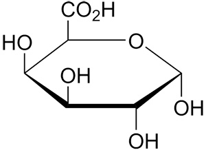 Galacturonic Acid Molecule