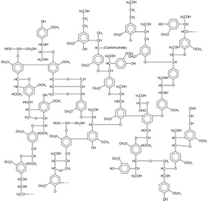 Lignin Struture