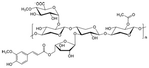 Xylan Molecule