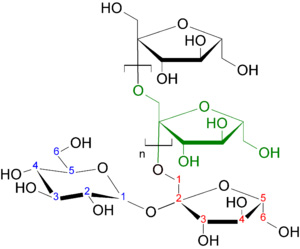 Inulin Molecule