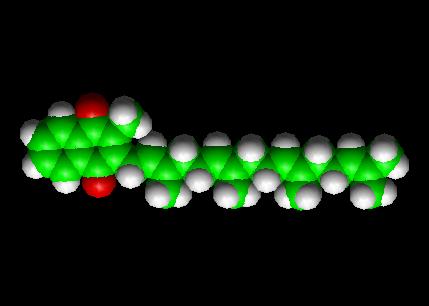 Vitamin K  Molecule Ball and Stick Model
